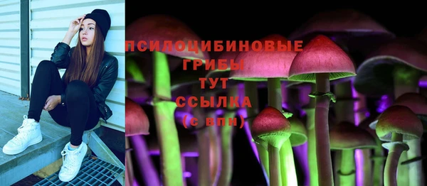 герыч Каменногорск