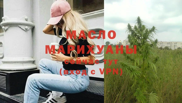 твердый Каменка