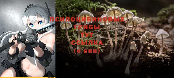 mdpv Каменск-Шахтинский