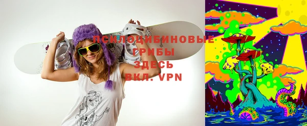 герыч Каменногорск